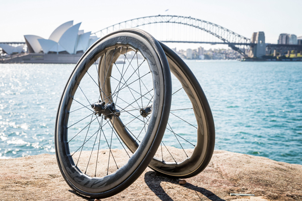 Curiosity led Zipp Engineers to Study Humpback Whale Flippers in Development of Zipp 454 NSW Wheels