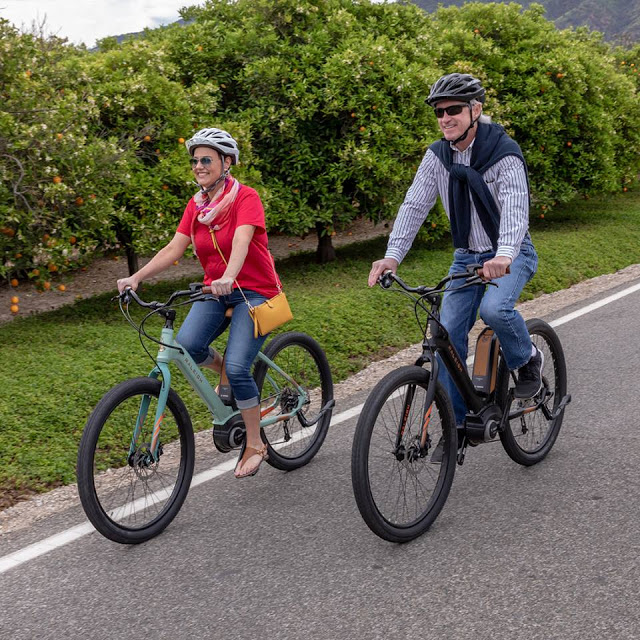 Introducing the brand New Raleigh Venture eBike