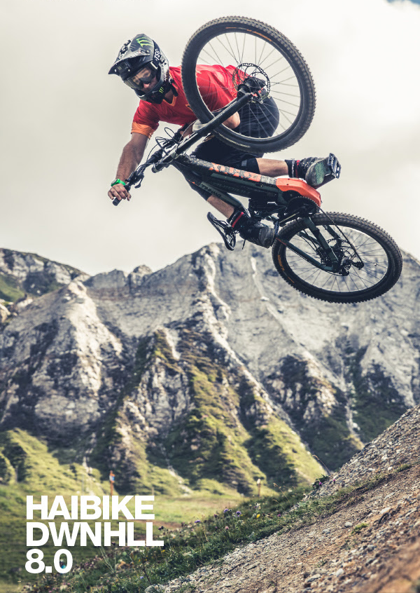 Check the New Haibike Dwnhll 8.0 eBike
