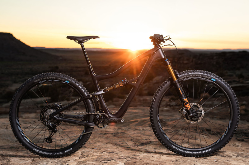 The New Ibis Ripley is a Highly Adaptable Creature Known to Thrive in Any Location