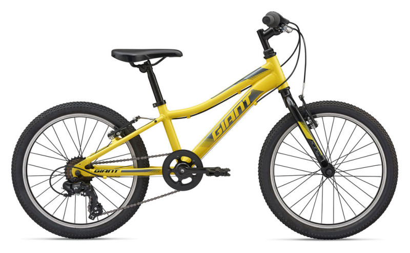 Giant XTC Jr. 20/24 Lite: Adventure Starts Here