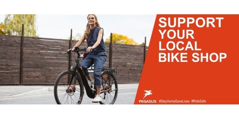 Pegasus Shifts into High Gear and Launches All-New, U.S. Website for eTrekking/eCity Consumers