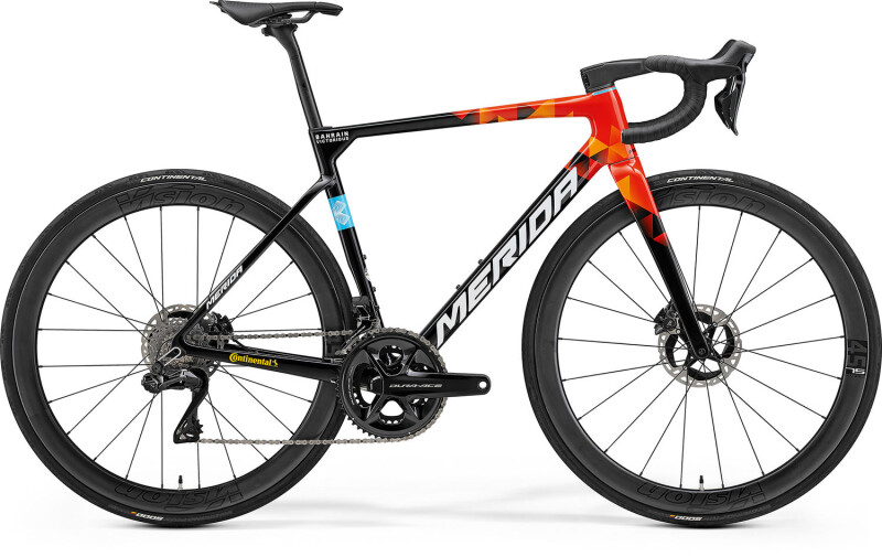 The New Scultura Team – Streamlined Race Compliance