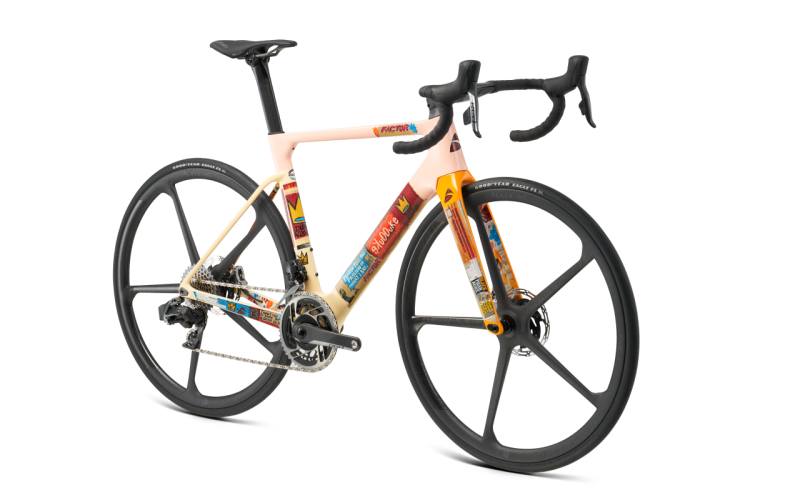 Limited Edition OSTRO VAM Celebrating Diversity