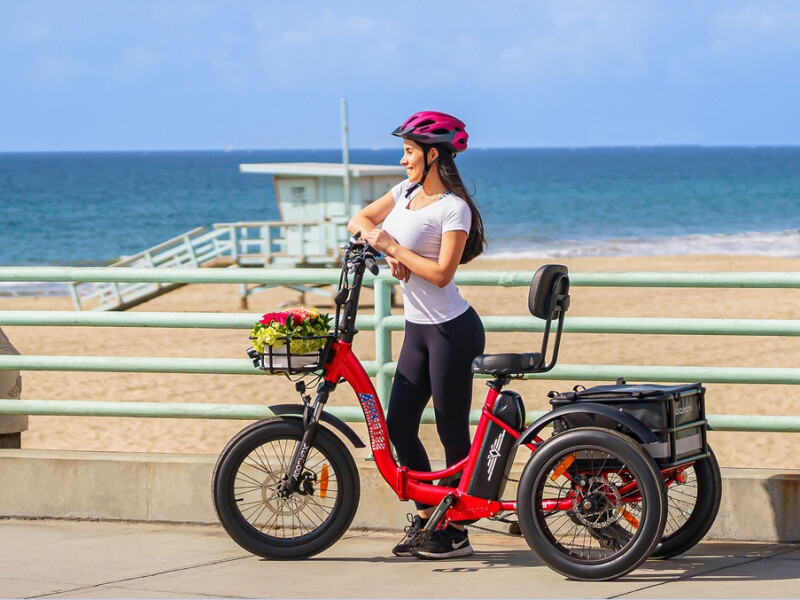 Addmotor Triketan M-330F vs. Sixthreezero Easy Transit Folding 750W Electric Tricycle