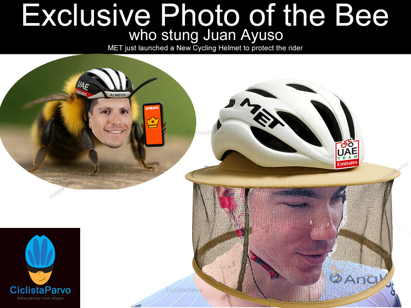 Exclusive Photo of the Bee who stung Juan Ayuso - MET just launched a New Cycling Helmet to protect the rider