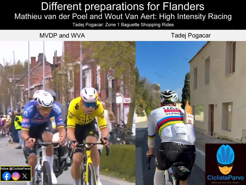 Different preparations for Flanders