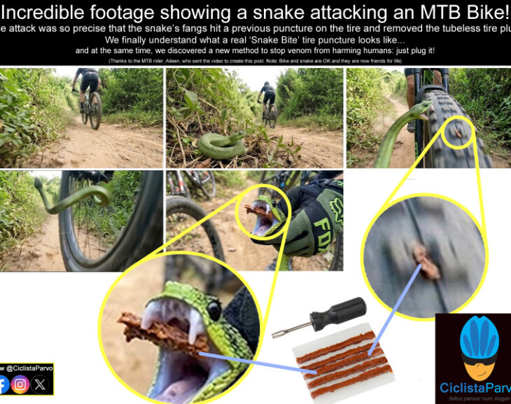 Incredible footage showing a snake attacking an MTB Bike!